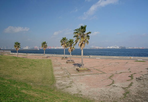 201111071148-DSC00493.jpg