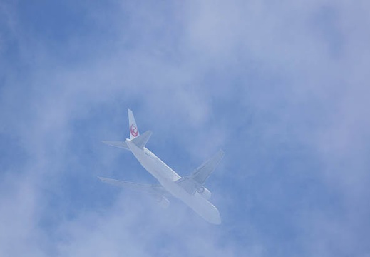 201111071153-DSC00500.jpg