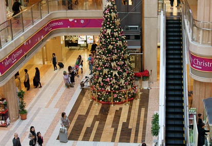201111071330-DSC00563.jpg
