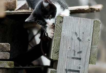 201111101319-DSC00992.jpg