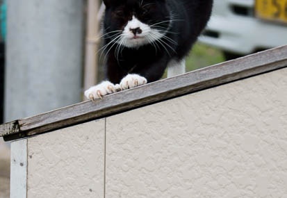 201111101438-DSC01092.jpg