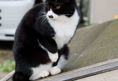 201111101438-DSC01093.jpg