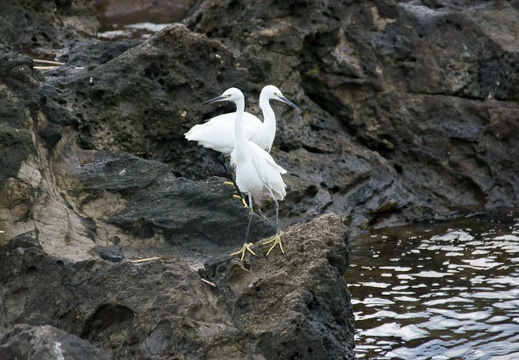 201111101452-DSC01195.jpg
