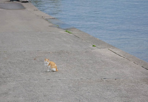 201111101516-DSC01273.jpg