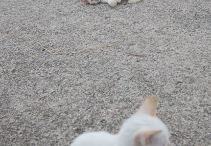 201111101529-DSC01287.jpg