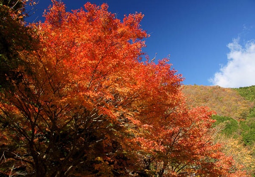 201111210820-DSC01826.jpg