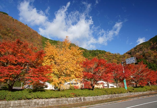 201111210824-DSC01837.jpg