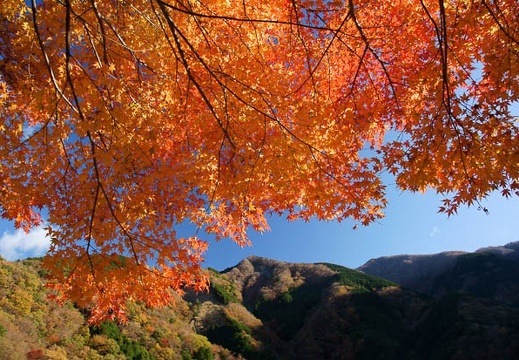201111210829-DSC01851.jpg