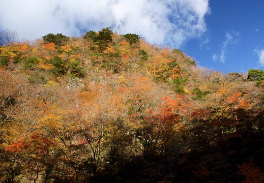 201111210843-DSC01869.jpg