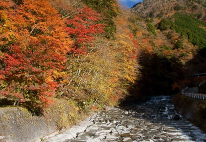 201111210855-DSC01893.jpg