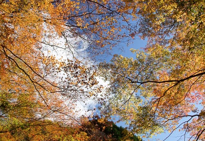 201111210913-DSC01940.jpg