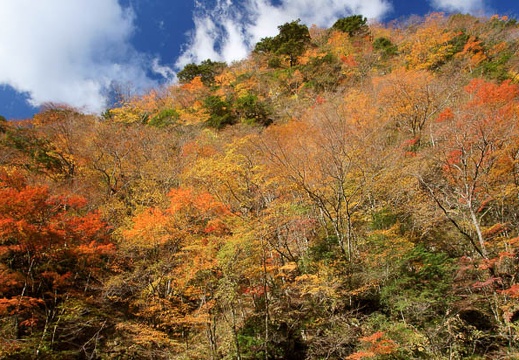 201111210928-DSC01984.jpg