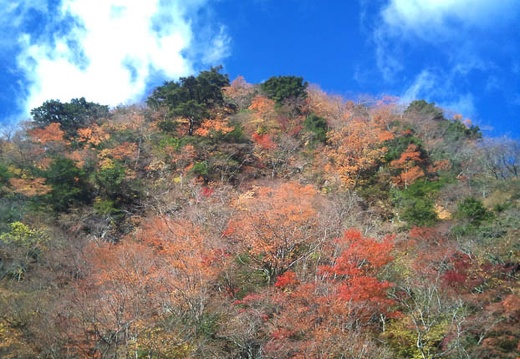 20111121095800-SO-01B.jpg