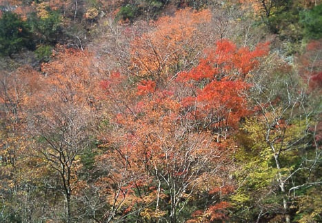 20111121095824-SO-01B.jpg