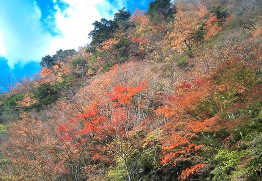 20111121095908-SO-01B.jpg