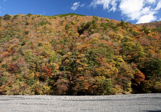 201111211007-DSC02084.jpg