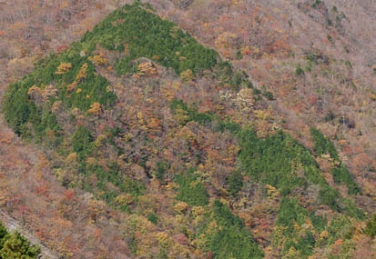 201111211018-DSC02113.jpg