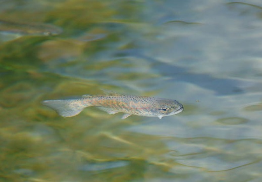 201111211052-DSC02201.jpg