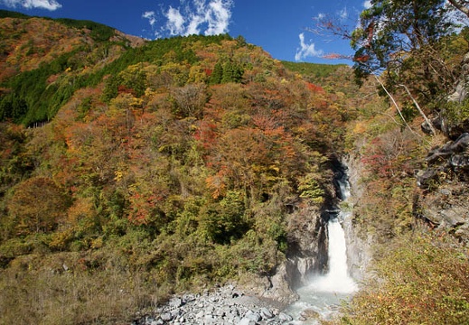 201111211125-DSC02251.jpg