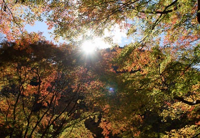 201111211140-DSC02290.jpg