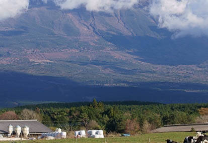 201111211448-DSC02341.jpg