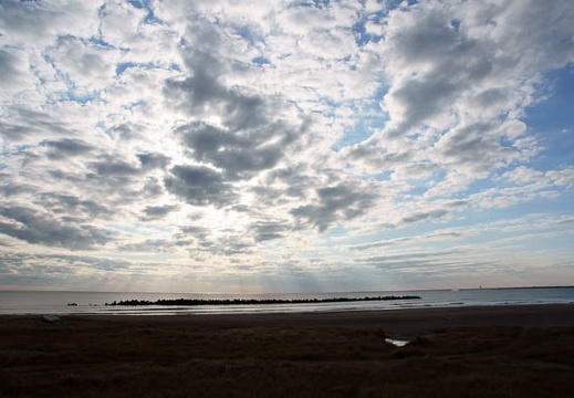 201111221441-DSC02623.jpg