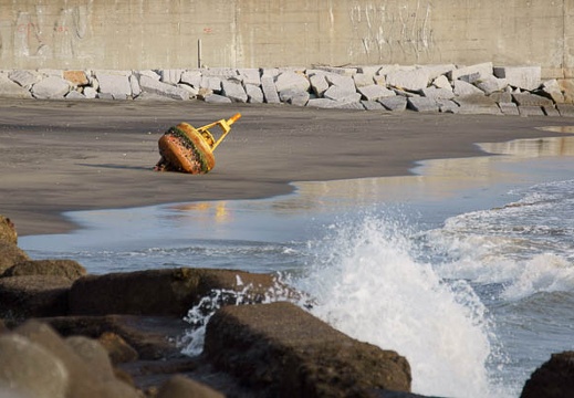 201111221450-DSC02645.jpg