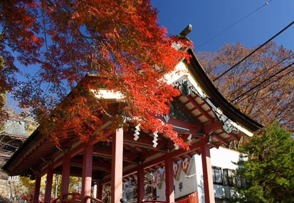 201111251019-DSC02975.jpg
