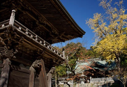201111251024-DSC02984.jpg