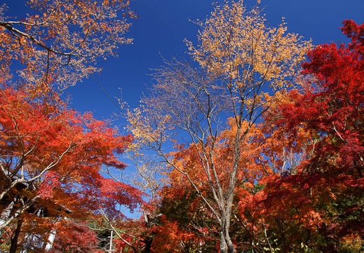 201111251153-DSC03097.jpg