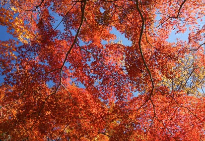 201111251154-DSC03101.jpg