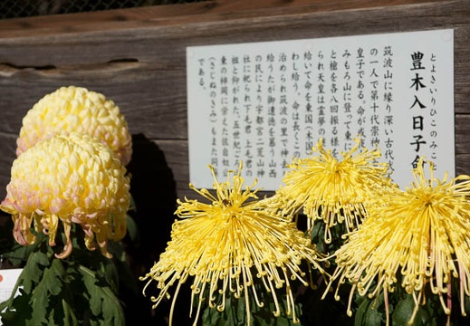 201111251211-DSC03135.jpg