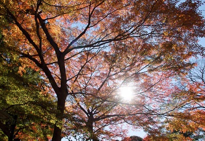 201111251215-DSC03151.jpg