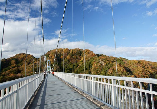 201111251433-DSC03206.jpg