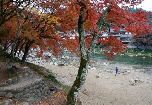 201111280747-DSC03412.jpg