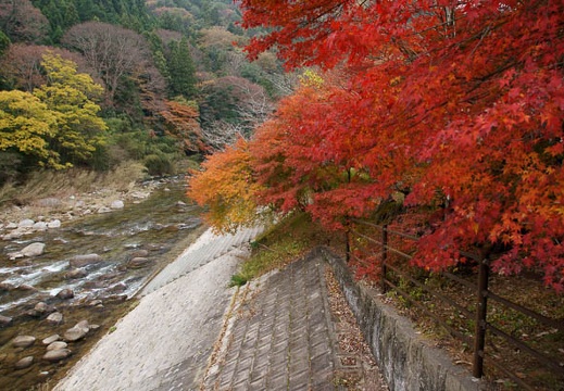201111280844-DSC03480.jpg