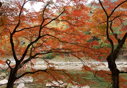 201111280849-DSC03484.jpg