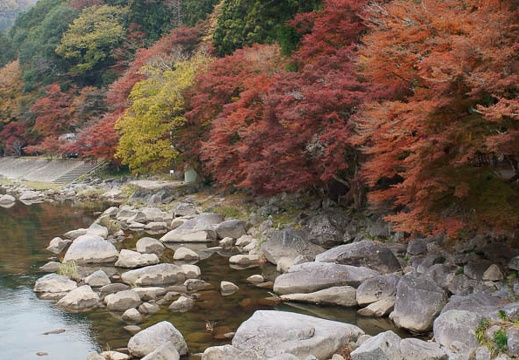 201111280854-DSC03492.jpg