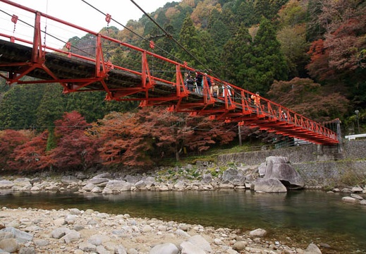 201111280905-DSC03513.jpg