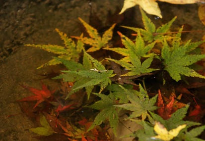 201111280946-DSC03588.jpg