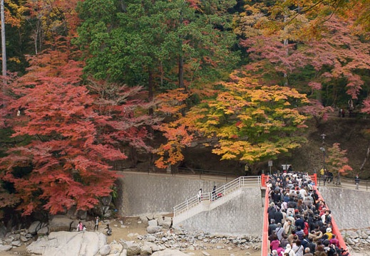 201111280953-DSC03594.jpg