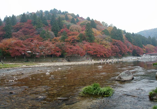 201111281043-DSC03668.jpg