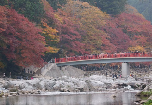 201111281050-DSC03684.jpg