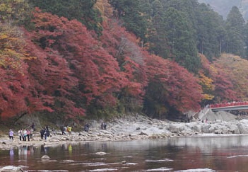 201111281051-DSC03689.jpg