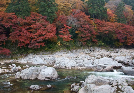 201111281113-DSC03734.jpg