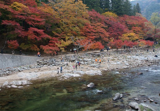 201111281120-DSC03753.jpg