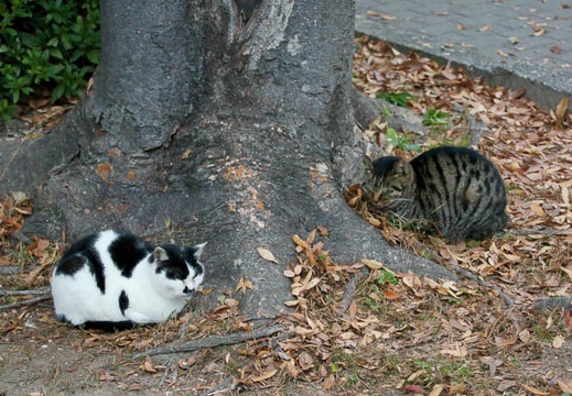201111281612-DSC03990.jpg