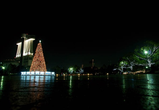 201111291748-DSC04346.jpg