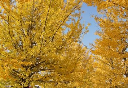 201111300923-DSC04373.jpg