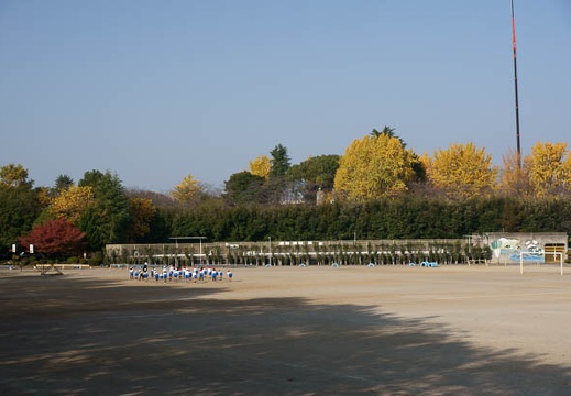 201111300940-DSC04423.jpg